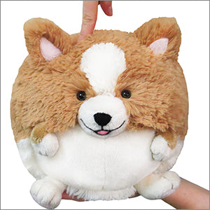 Peluche Mini Squishable – Corgi