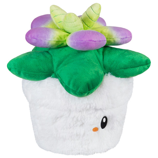 Peluche Mini Squishable – Plante Succulente