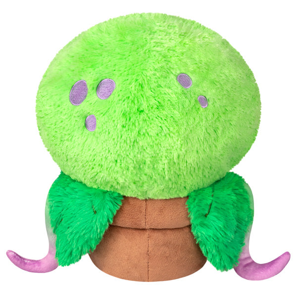 Peluche Mini Squishable – Dionée Attrape-Mouche