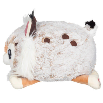 Peluche Mini Squishable – Chat Sauvage