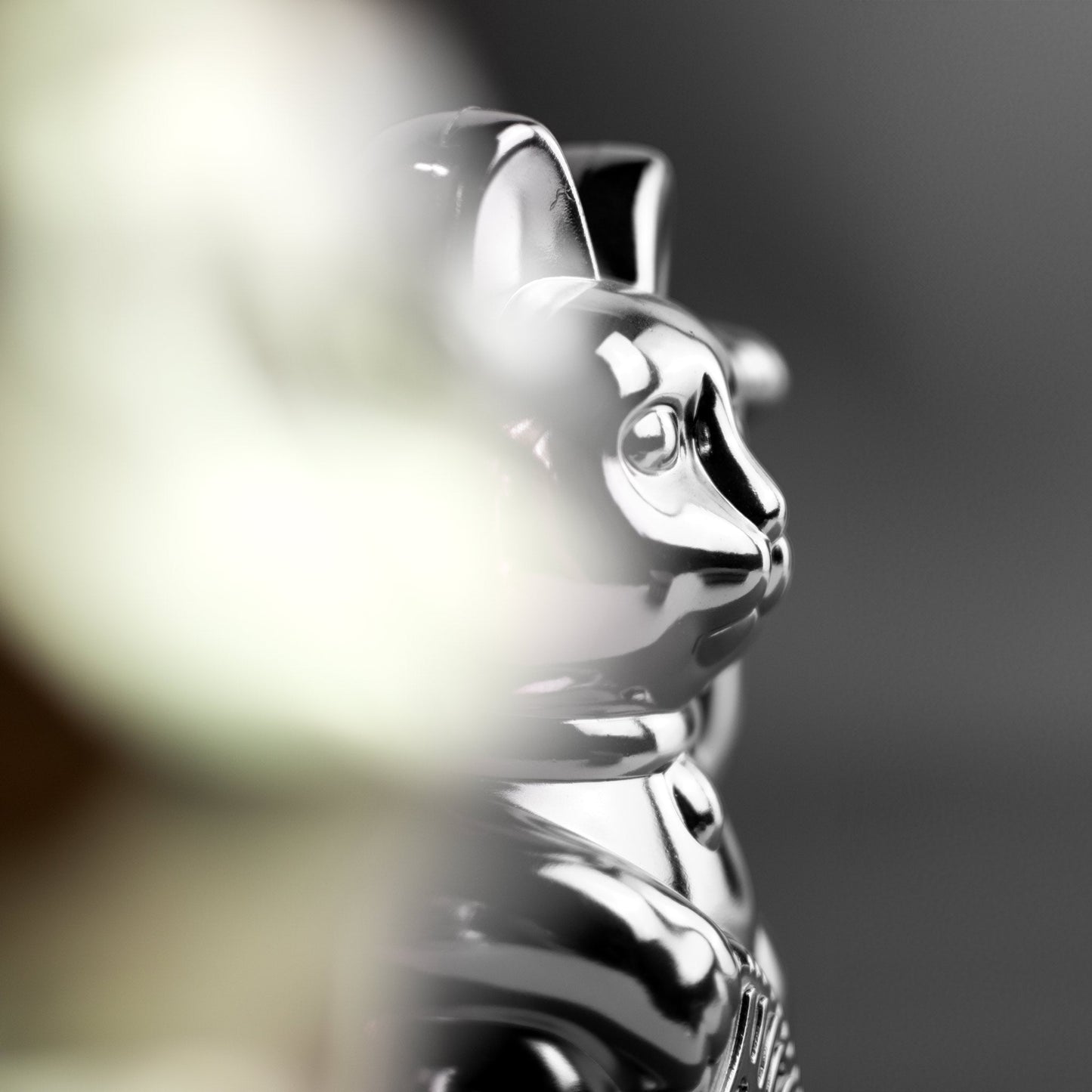 Lucky Bright Silver Cat "Nova"
