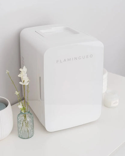 Portable Cosmetics Refrigerator 10L - ELI