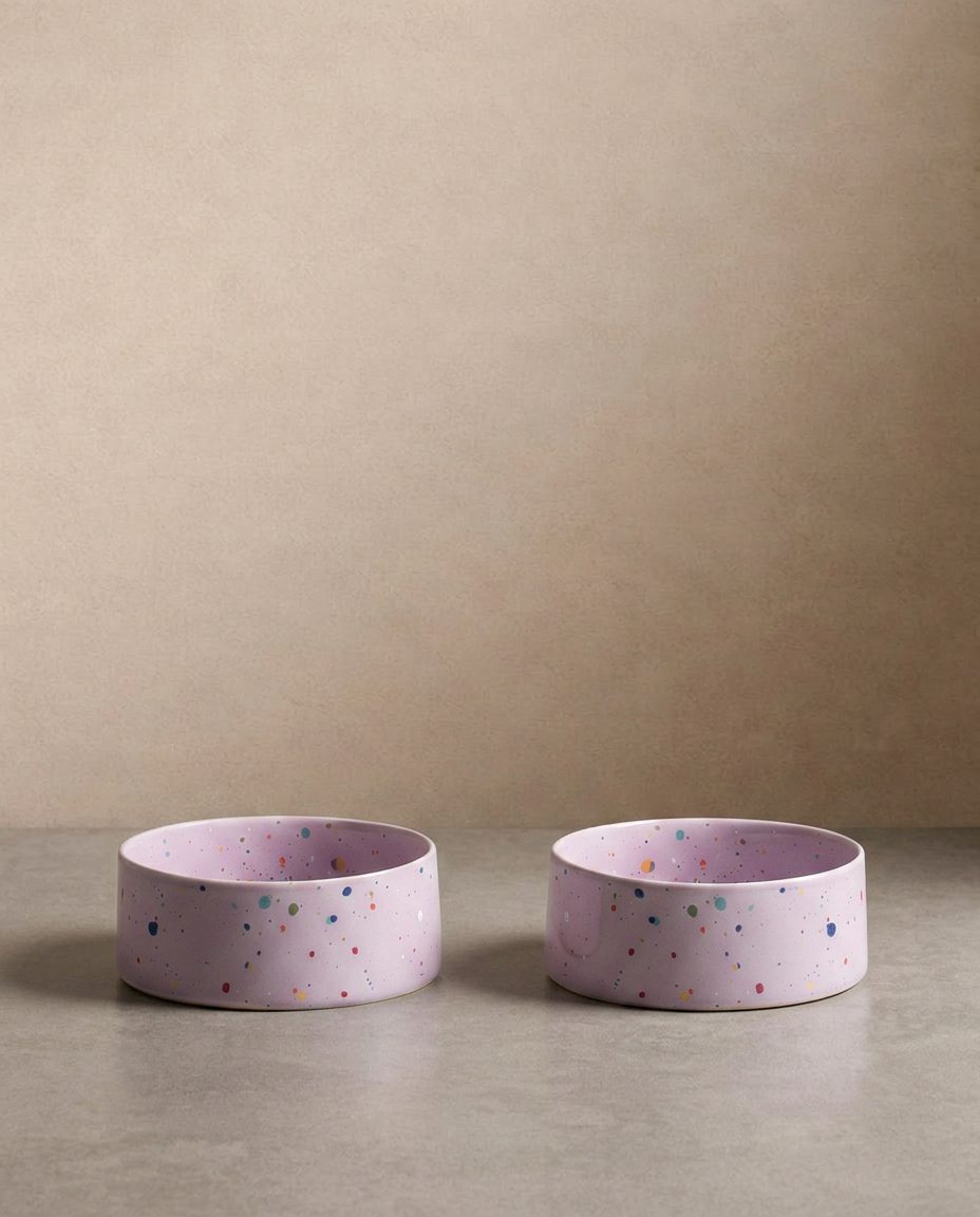New Party Pet Bowl 14cm Set of 2