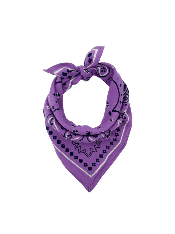 Small scarf - OSCAR