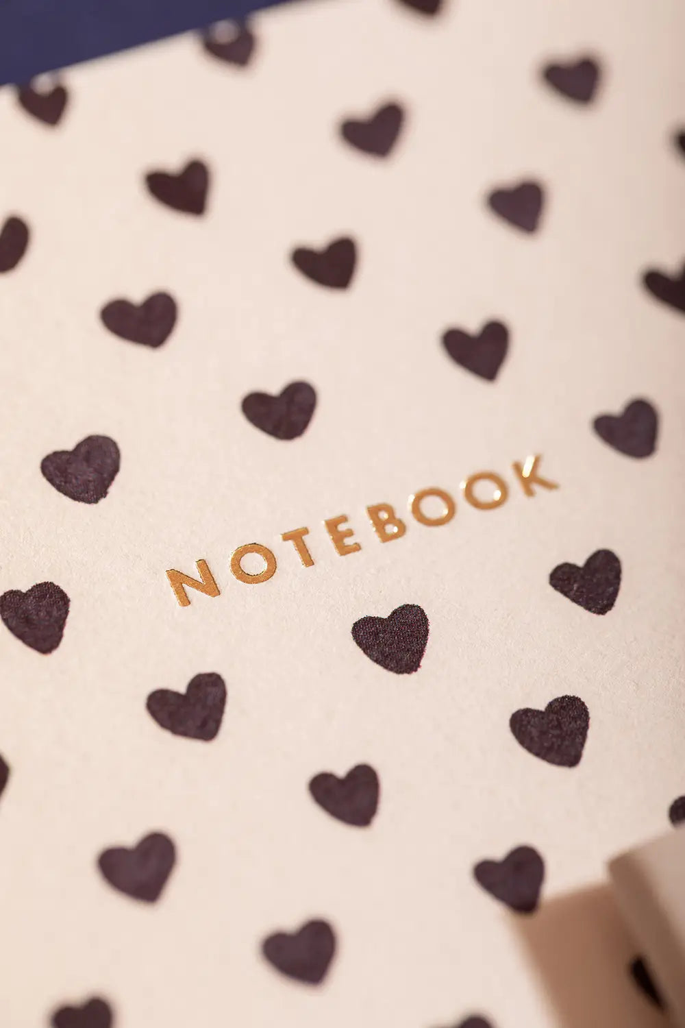 Dalmatian — Pocket Notebook A6 DUO
