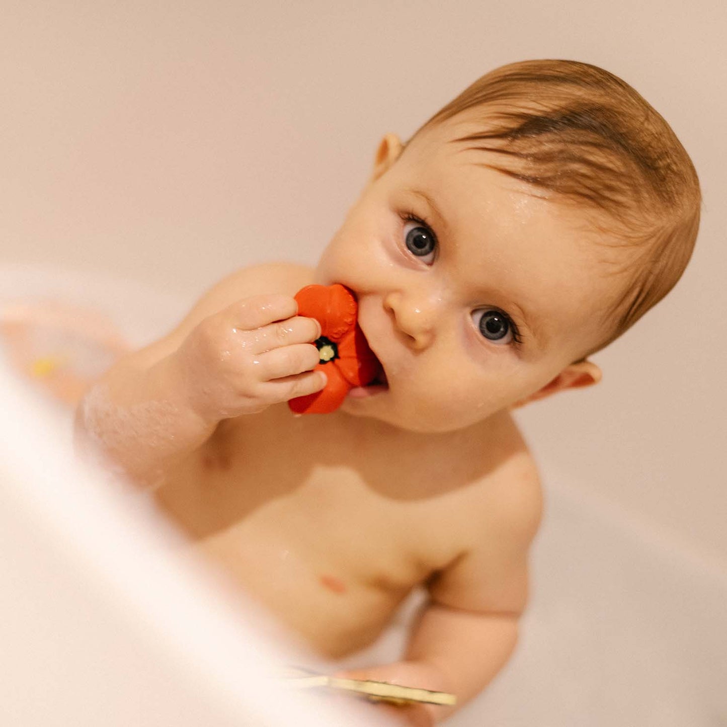 Pop the Poppy Mini Anneau de Dentition