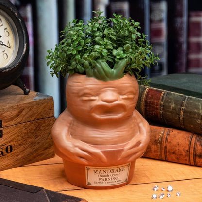 Mandrake jar
