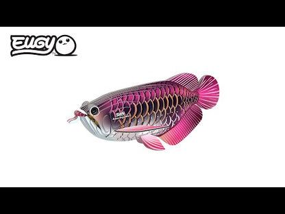 EUGY 3D - Dragon Fish