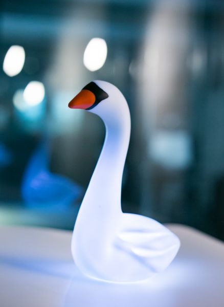 Veilleuse Cygne