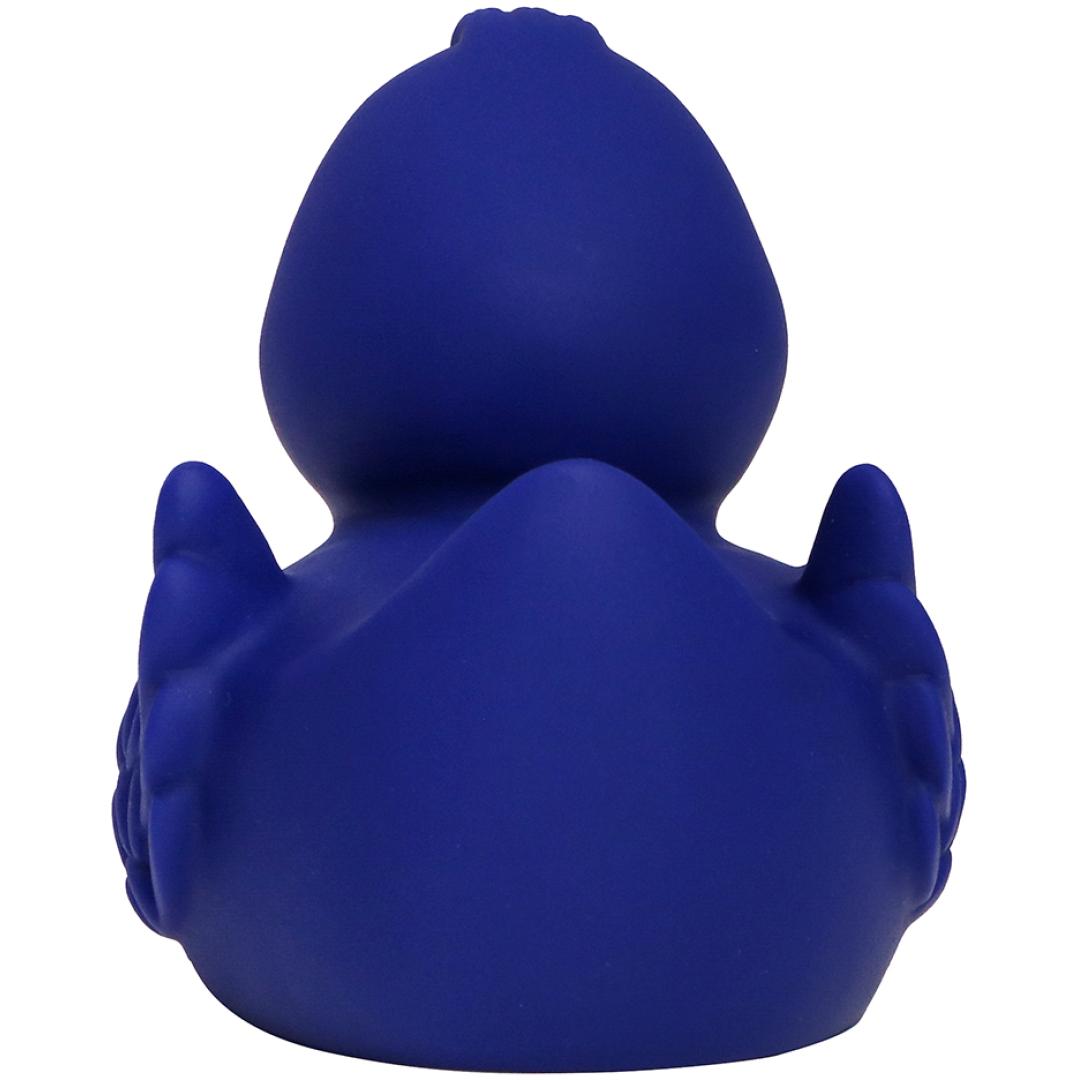 Canard uni avec ailes
