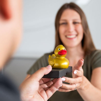 Canard uni avec ailes