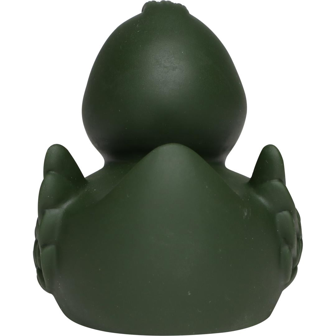 Canard uni avec ailes