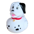Dalmatische eend