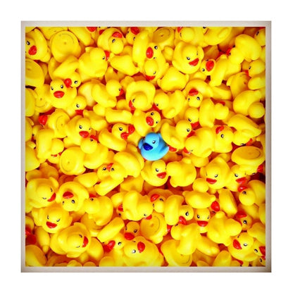 Petit canard classique Dutch Ducky – coloris jaune – vue 14