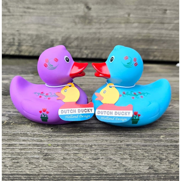Duck Holland Tulips - Blue