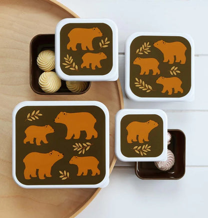 Pack of 4 Snack and Lunch Boxes - Bear