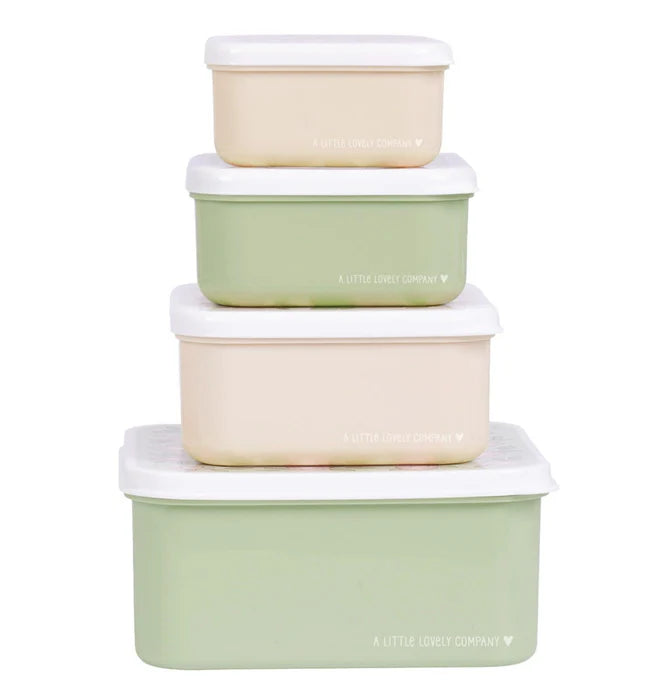 Pack of 4 Snack and Lunch Boxes - Flower