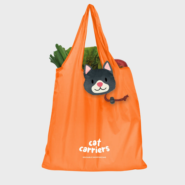 Panier de transport pour chats