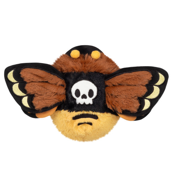 Snacker Death's-head Hawk Moth