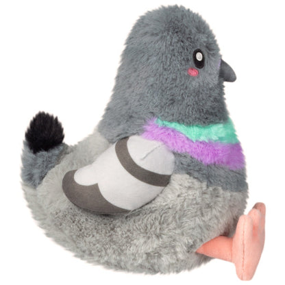 Snack Pigeon