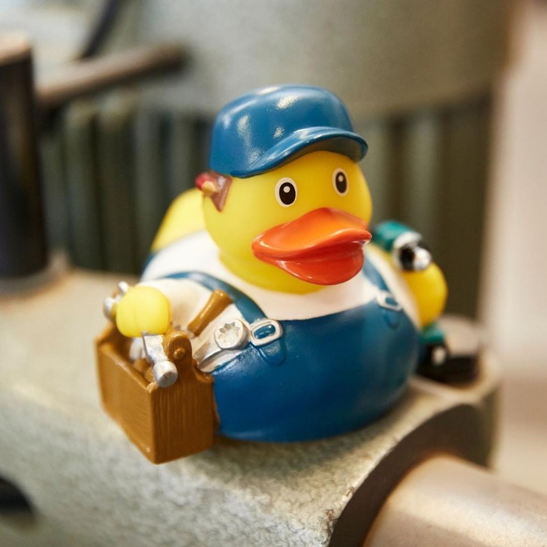 Canard Bricoleur