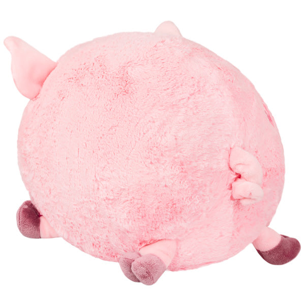 Squishy Piggy