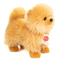 Peluche Spitz nain doré – 23 cm
