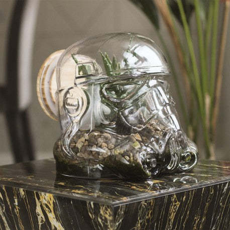 Terrarium Stormtrooper
