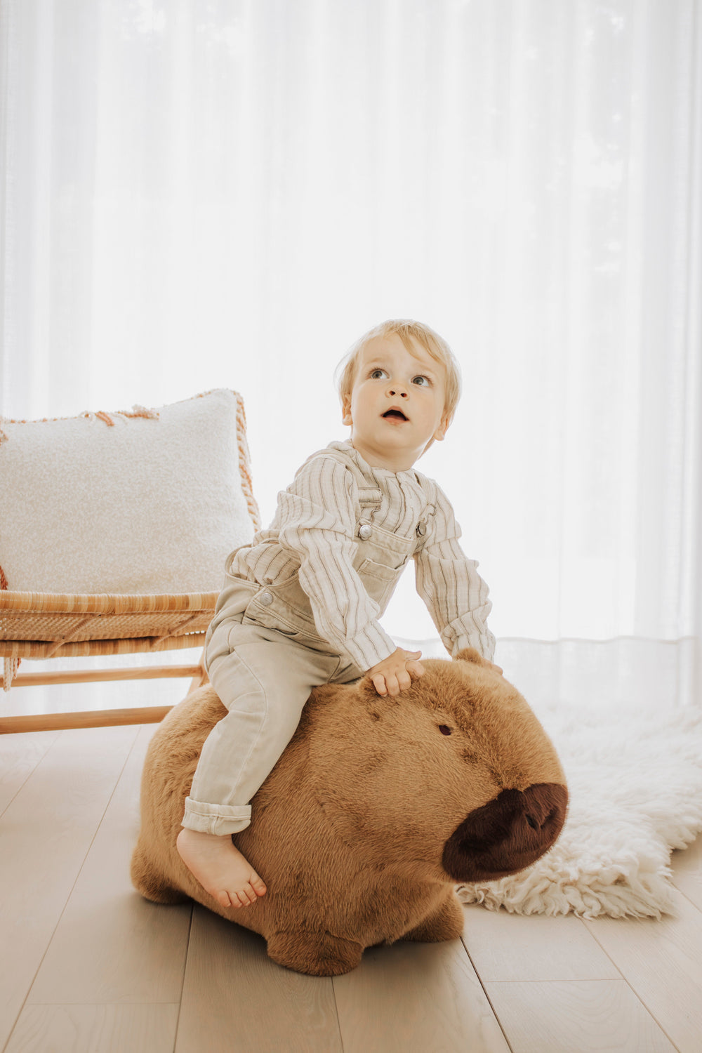 Wild & Soft Bouncy Capybara