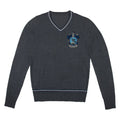 Harry Potter Ravenclaw trui 