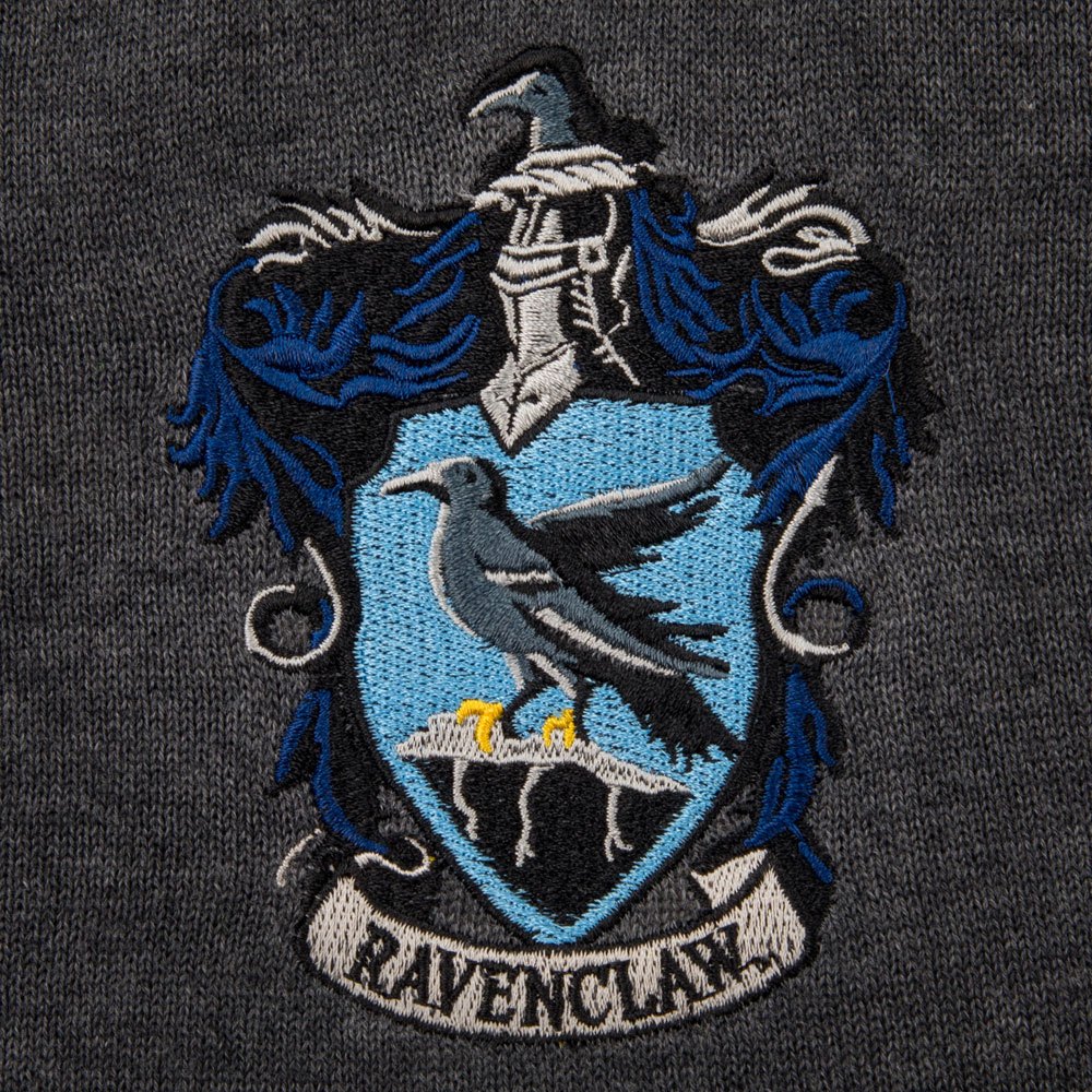 Harry Potter Ravenclaw trui 