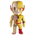 XXRAY: Reverse Flash
