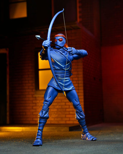 Ultimate Foot Ninja (Mirage Comics) 