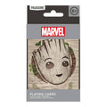 Groot kaartspel 