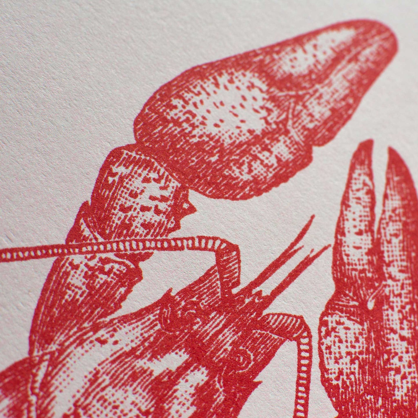 Artprint Homard