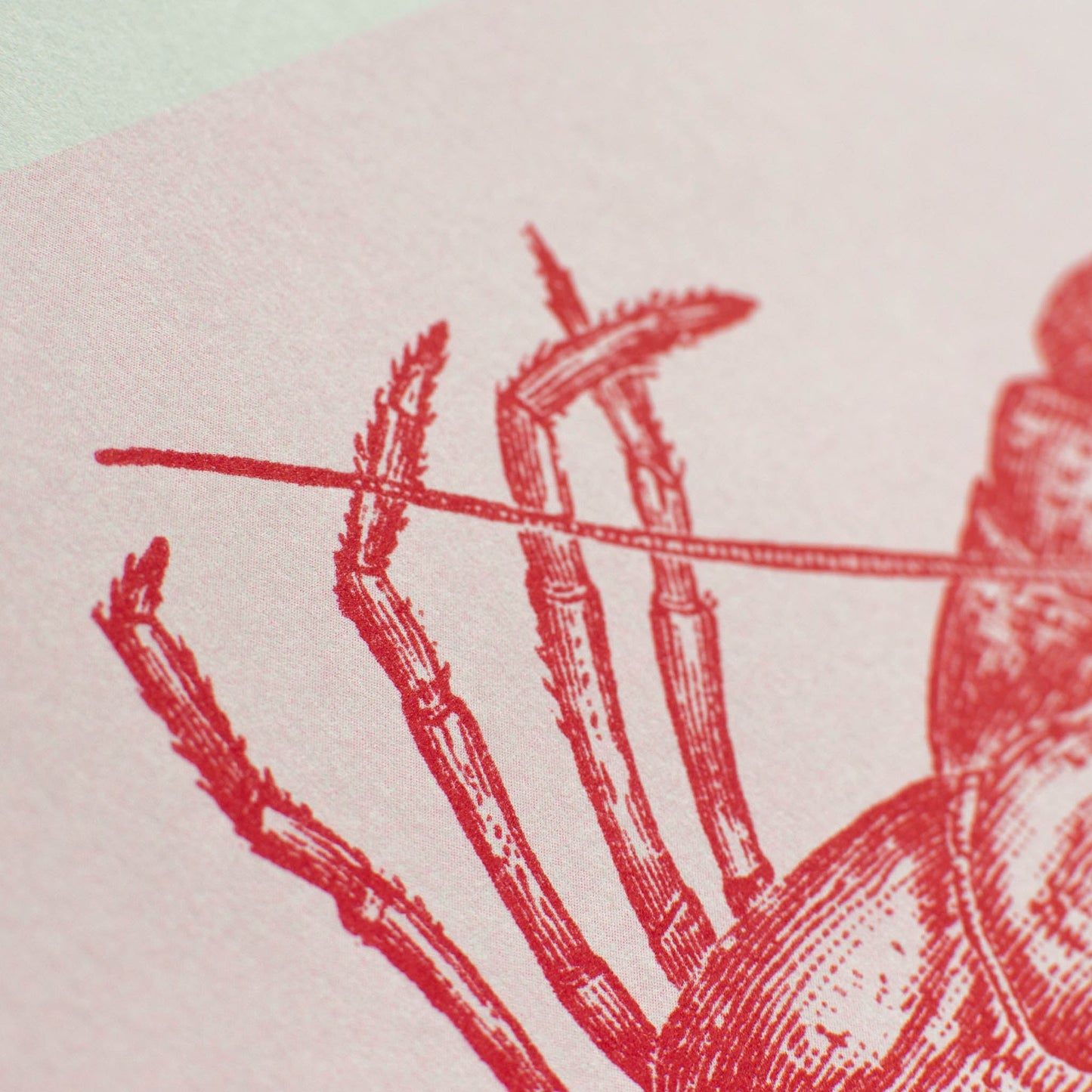 Artprint Homard