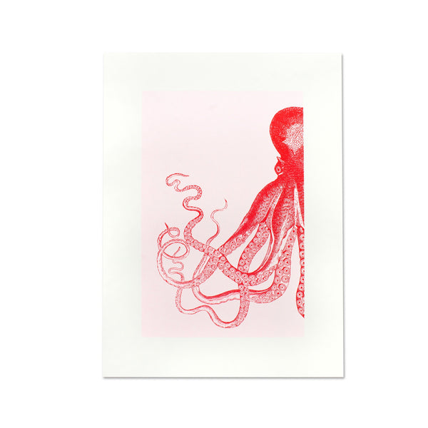 Artprint Octopuses