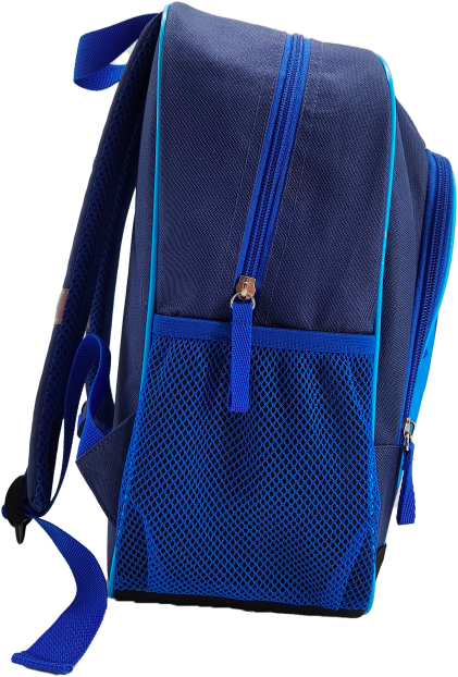 Sonic Backpack