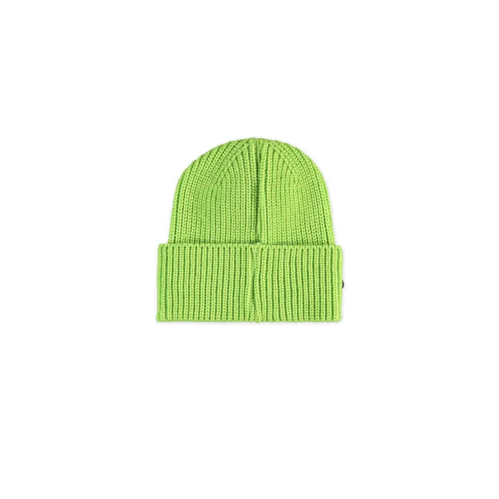 Teenage Mutant Ninja Turtles Kids Beanie - Leonardo