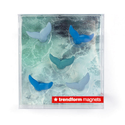 Blue whale magnets