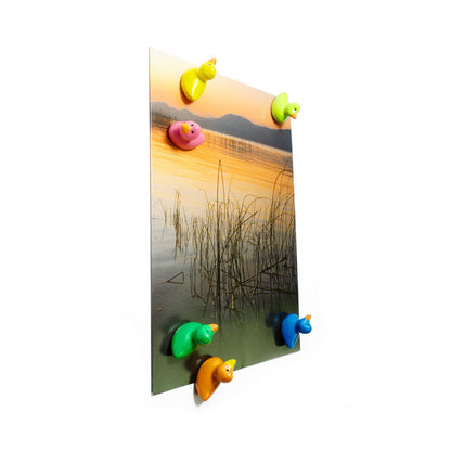 Duck Magnets