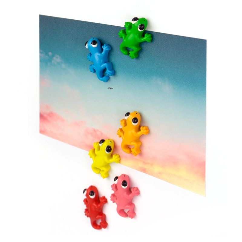 Gecko-Magnete
