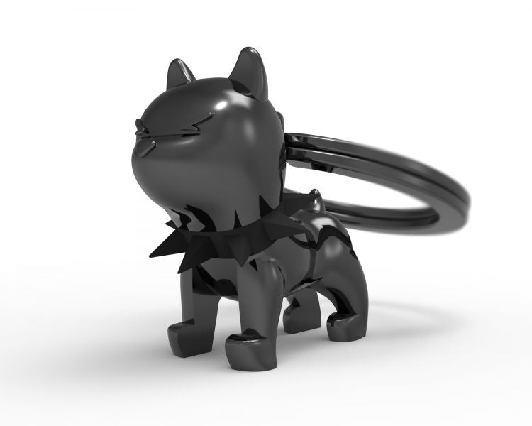 Black watchdog key door