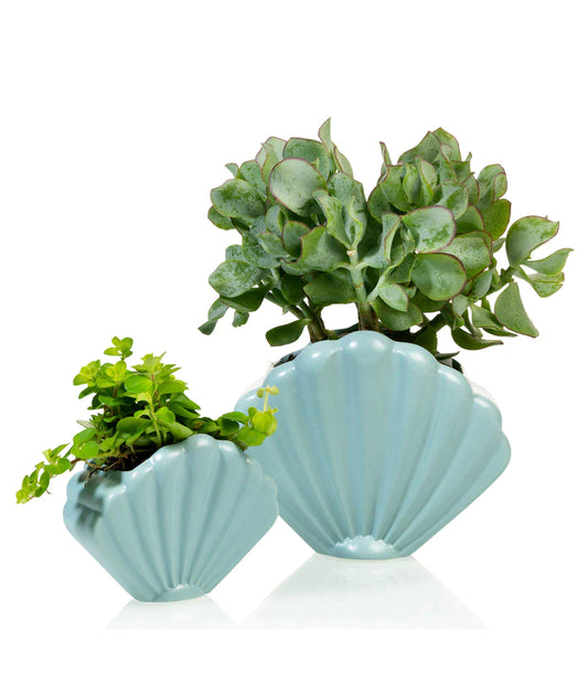 Pot de fleur Coquillage Bleu