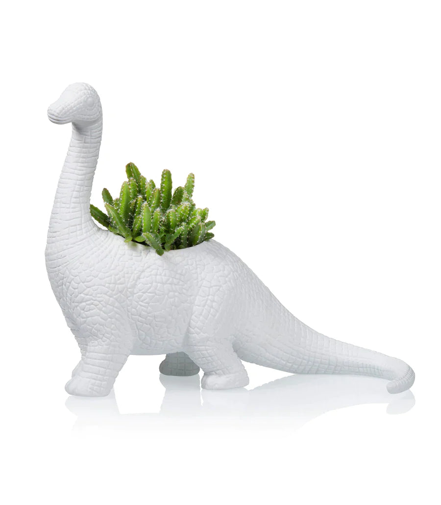 Flower pot dinosaur plantosaurus