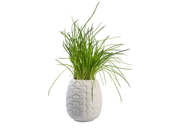 Pot de fleur Ananas Bitten – Cache-pot original