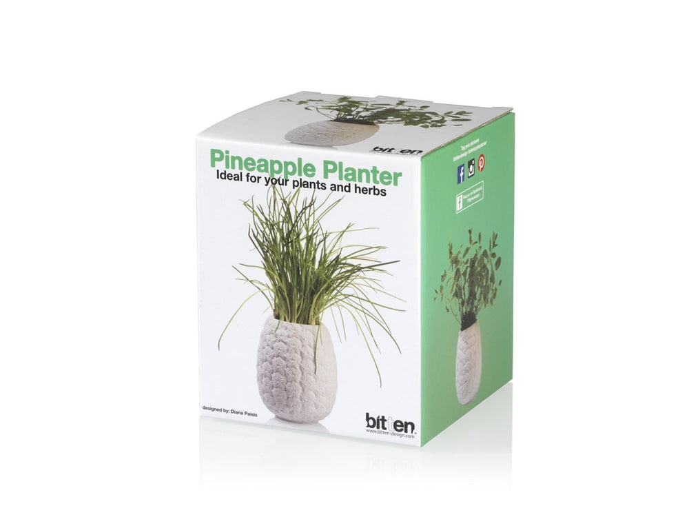Bloempot Ananas