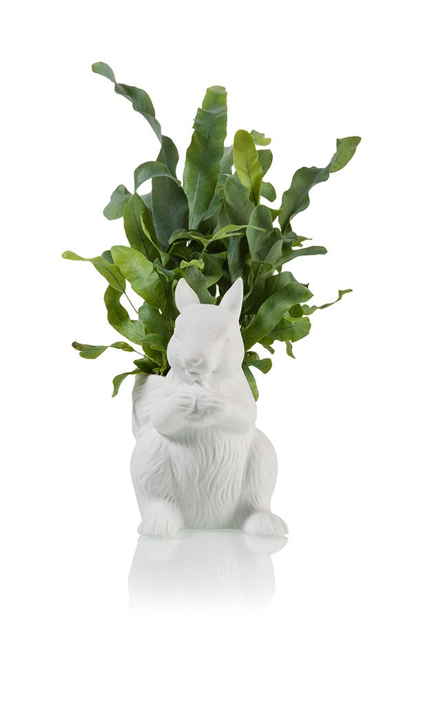 Squirrel flower pot