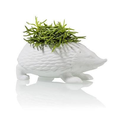 Hedgehog flower pot