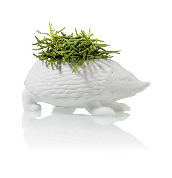 Pot de fleur Hérisson Bitten – Cache-pot original